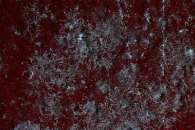 Vorschaubild von Fachaustausch zu Fragen der optischen Bau-Forensik