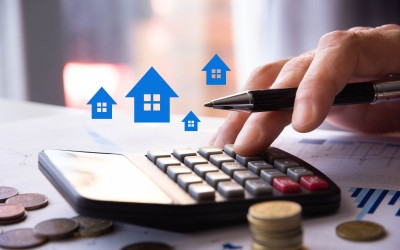 stock.adobe.com/xyz+