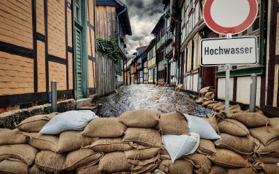 stock.adobe.com/ferkelraggae