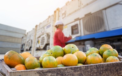 stock.adobe.com/kamonrat