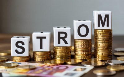 Vorschaubild von Grundlagen des Stromsteuerrechts