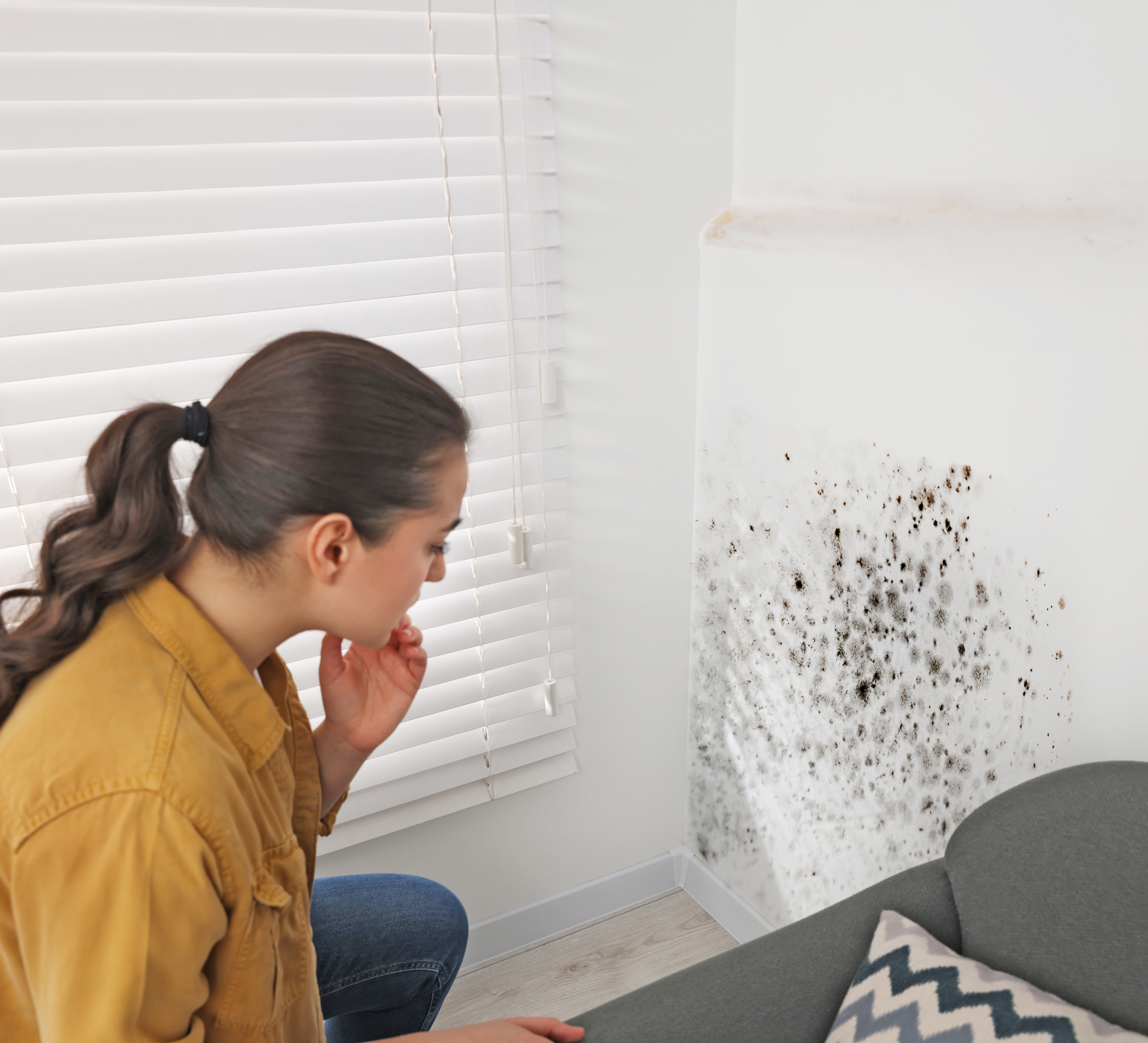 Vorschaubild von Feuchtigkeit und Schimmel